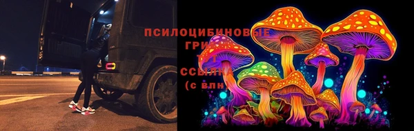 mdpv Магадан